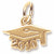 Grad Cap 2010 charm in Yellow Gold Plated hide-image