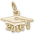 Grad Cap 2016 charm in Yellow Gold Plated hide-image