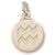Aquarius charm in Yellow Gold Plated hide-image