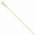 14K Yellow Gold Carded Cable Rope Chain