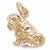 Shar Pei Charm in 10k Yellow Gold hide-image