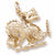 Dragon charm in Yellow Gold Plated hide-image