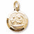 Baptism charm in Yellow Gold Plated hide-image