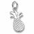 Pineapple charm in Sterling Silver hide-image