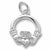 Claddagh charm in Sterling Silver hide-image