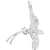 Bermuda Longtail Large Charm In Sterling Silver