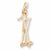 Cross Country Skis charm in Yellow Gold Plated hide-image