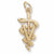 Veterinarian charm in Yellow Gold Plated hide-image