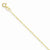 14K Yellow Gold Carded Cable Rope Chain