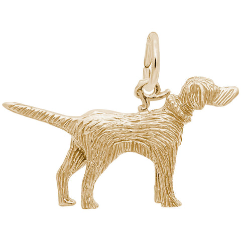Setter Dog Charm in Yellow Gold Plated