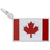 Canadian Flag Charm In 14K White Gold