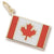 Canadian Flag charm in Yellow Gold Plated hide-image