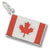 Canadian Flag charm in 14K White Gold hide-image