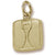 Scale Charm in 10k Yellow Gold hide-image