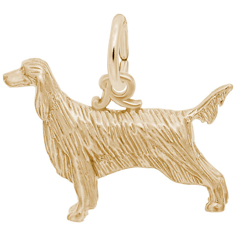 Irish Setter Charm in Yellow Gold Plated
