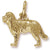 Dog, Newfoundland charm in Yellow Gold Plated hide-image
