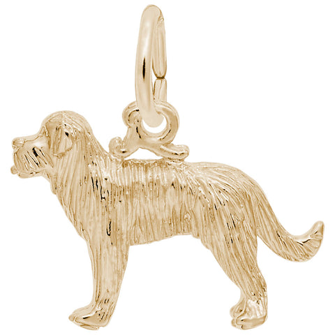 St Bernard Charm in Yellow Gold Plated