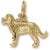 St Bernard charm in Yellow Gold Plated hide-image