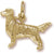 Retriever charm in Yellow Gold Plated hide-image