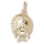 Turkey charm in Yellow Gold Plated hide-image