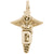 Dental Caduceus Charm in Yellow Gold Plated