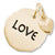 Love Tag With Heart charm in Yellow Gold Plated hide-image