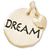 Dream Tag With Heart charm in Yellow Gold Plated hide-image