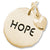 Hope Tag With Heart charm in Yellow Gold Plated hide-image