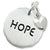 Hope Tag With Heart charm in Sterling Silver hide-image
