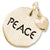 Peace Tag With Heart charm in Yellow Gold Plated hide-image