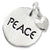 Peace Tag With Heart charm in 14K White Gold hide-image
