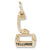 Telluride Moving Gondola W/Bot charm in Yellow Gold Plated hide-image