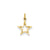 Diamond-cut Star Charm in 14k Gold
