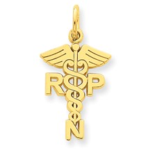 14k Gold Registered Nurse Practitioner Charm hide-image