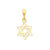 Cut-out Star of David Charm in 14k Gold