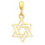 14k Gold Cut-out Star of David Charm hide-image
