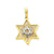 Solid Polished Meshed Star of David Charm in 14k Gold & Rhodium