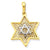 14k Gold & Rhodium Solid Polished Meshed Star of David Charm hide-image
