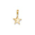 Small Polished 3-D Star Charm in 14k Gold