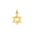 Solid Satin Star of David Charm in 14k Gold