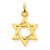14k Gold Solid Satin Star of David Charm hide-image