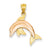 14k Gold Two-Tone Dolphin Charm hide-image
