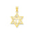 Solid Polish Chai in Star of David Charm in 14k Gold