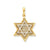 Solid Open-back Meshed Star of David Charm in 14k Gold & Rhodium