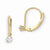 14k Yellow Gold Leverback 3mm CZ Earrings