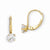 14k Yellow Gold Leverback 5mm CZ Earrings