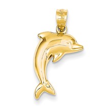 14k Gold Polished Dolphin Charm hide-image