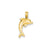 Polished Dolphin Charm in 14k Gold