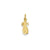 Polished Pineapple Charm in 14k Gold