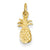 14k Gold Polished Pineapple Charm hide-image